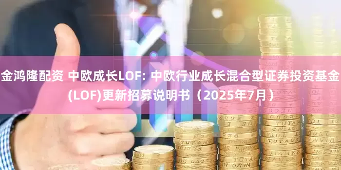 金鸿隆配资 中欧成长LOF: 中欧行业成长混合型证券投资基金(LOF)更新招募说明书(2025年7月)