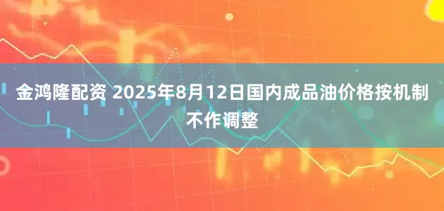 金鸿隆配资 2025年8月12日国内成品油价格按机制不作调整
