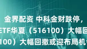 金界配资 中科金财跌停,金融科技ETF华夏(516100)大幅回撤或迎布局机会